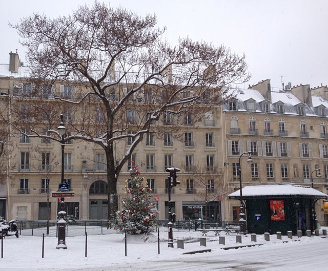 An outdoor Christmas tree