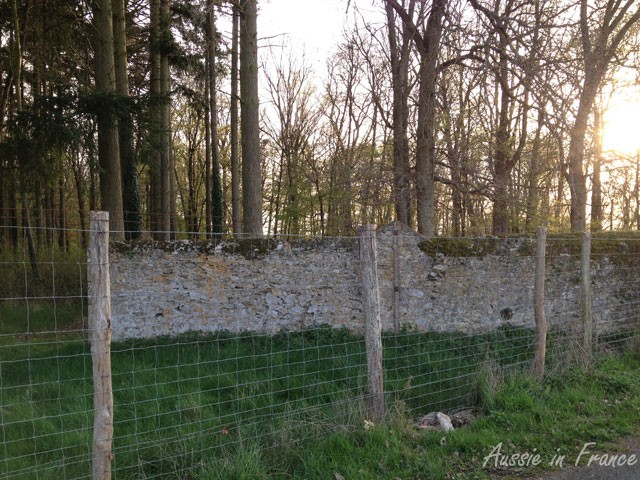Une clôture en fer devant un mur en pierre