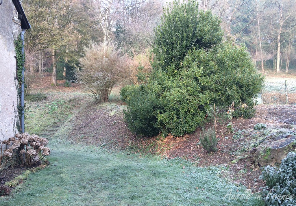 When it's this cold, garden birds need all the help they can get