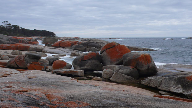 coles_bay_3