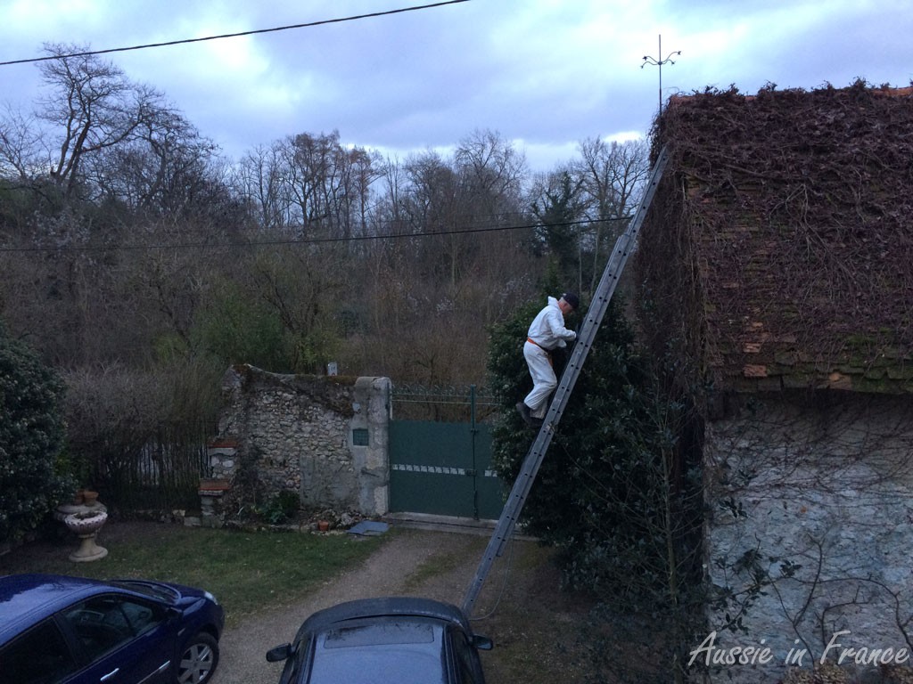 Coming down the ladder