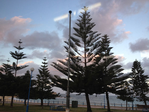 coogee_beach