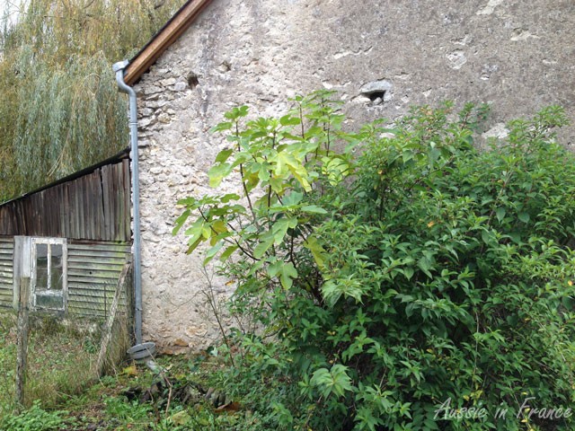 You can see the chicken coop on the left of the barn at the vegetable garden end