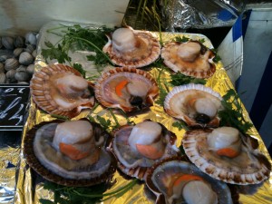 coquilles_saint_jacques