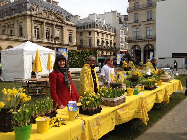 Curie Cancer Institute selling daffodils on Place Royale