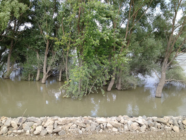 Aftermath of flooding of the Danube