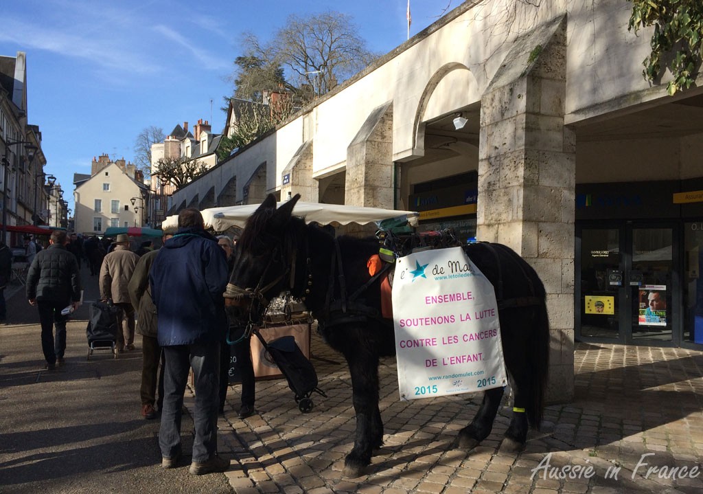 One day there was even a donkey to attract donations for children with cancer
