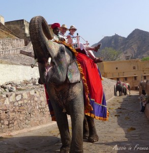 Us perched on top of the elephant