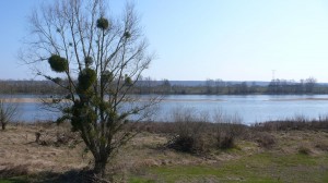 embarcadere_view