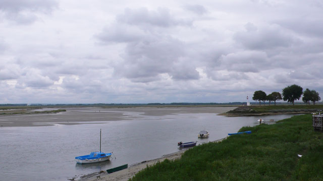 Estuary