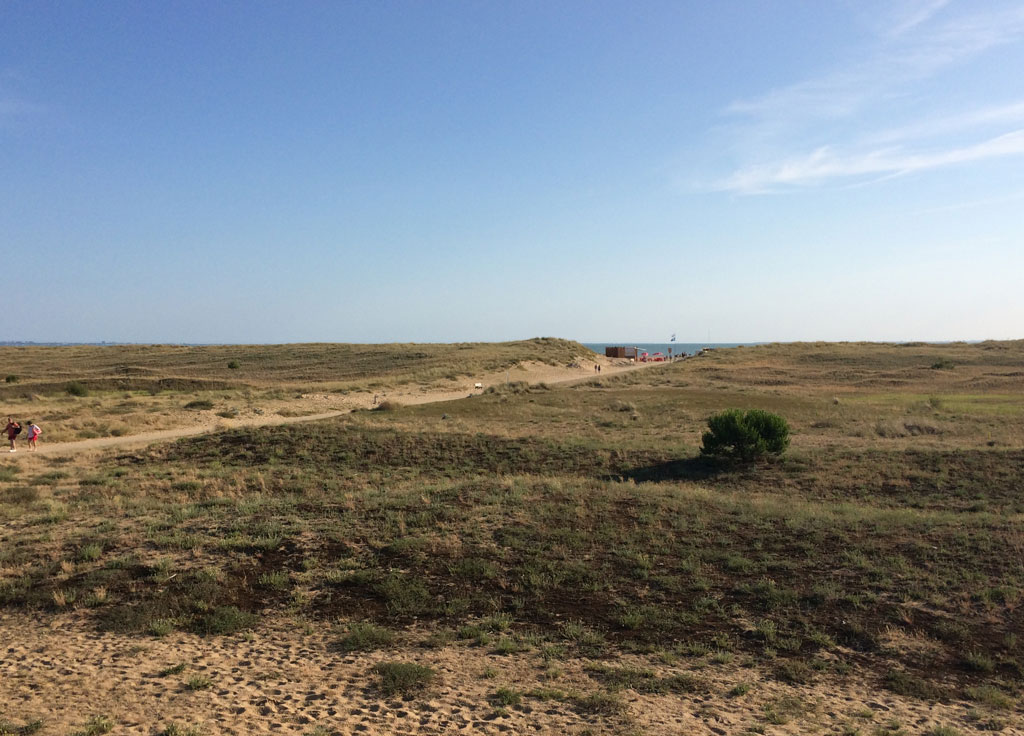 The path to the beach at La-Faute-sur-Mer
