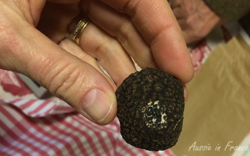 First category truffle