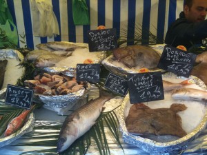 fish