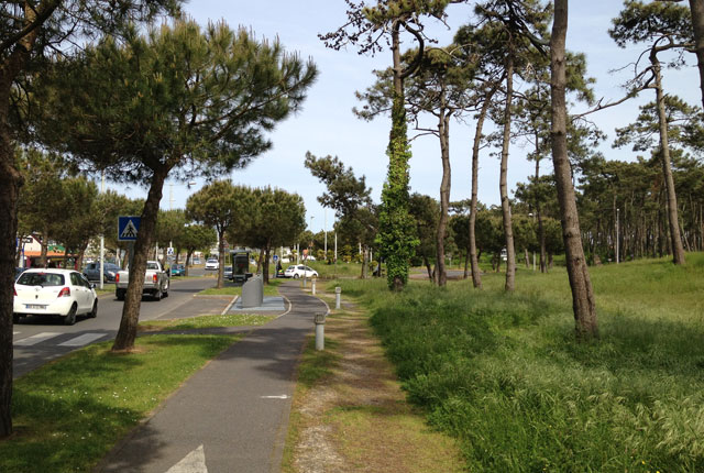 The flat path