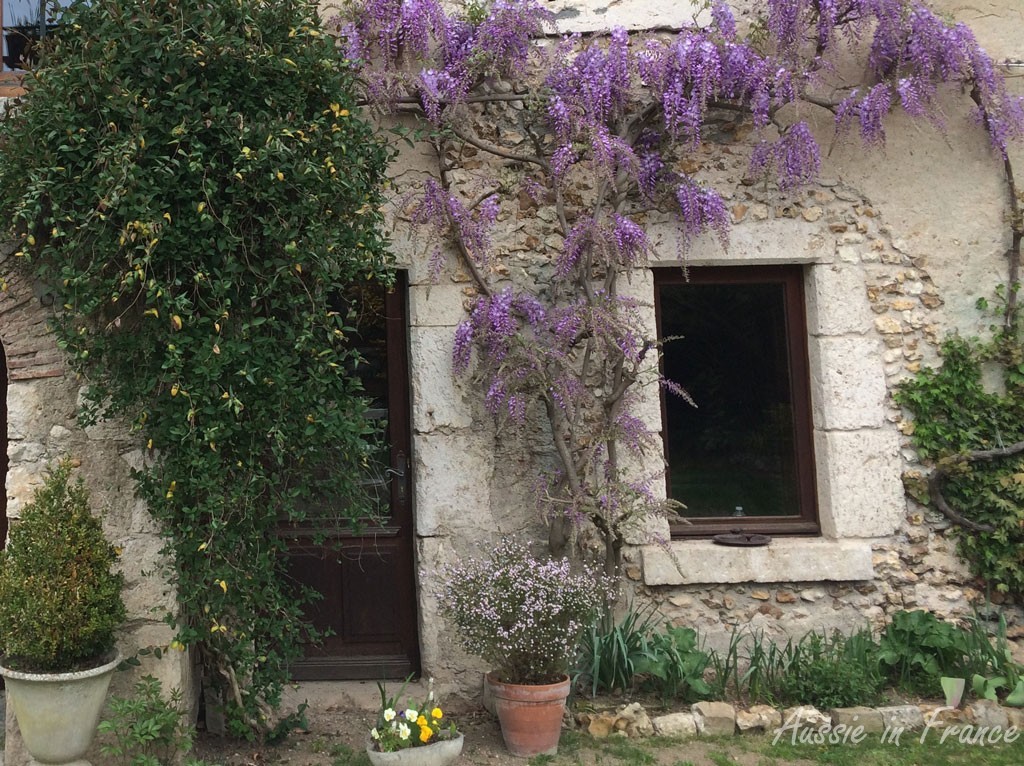 The front window with its freestone surround looking its best with the wisteria in bloom