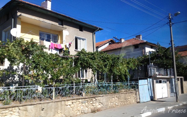 Grape vines on the otherwise unattractive houses
