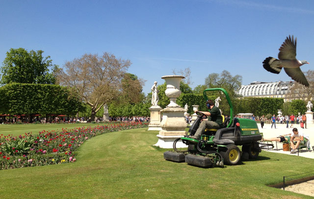 Super-duper grass cutter