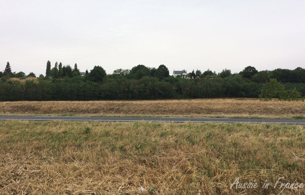 The highway - you can see how dry the grass is at the moment