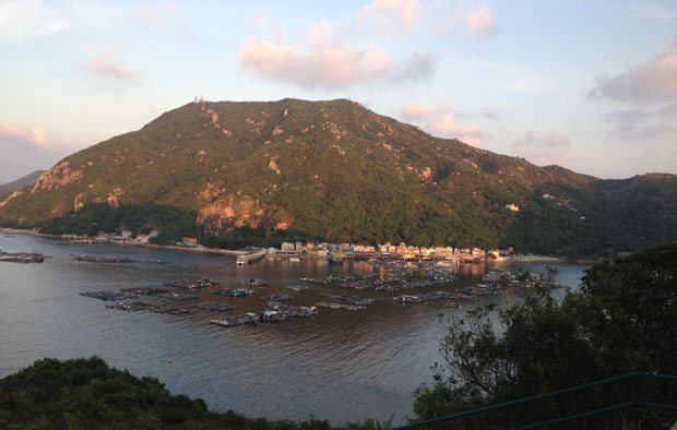 hillside_view