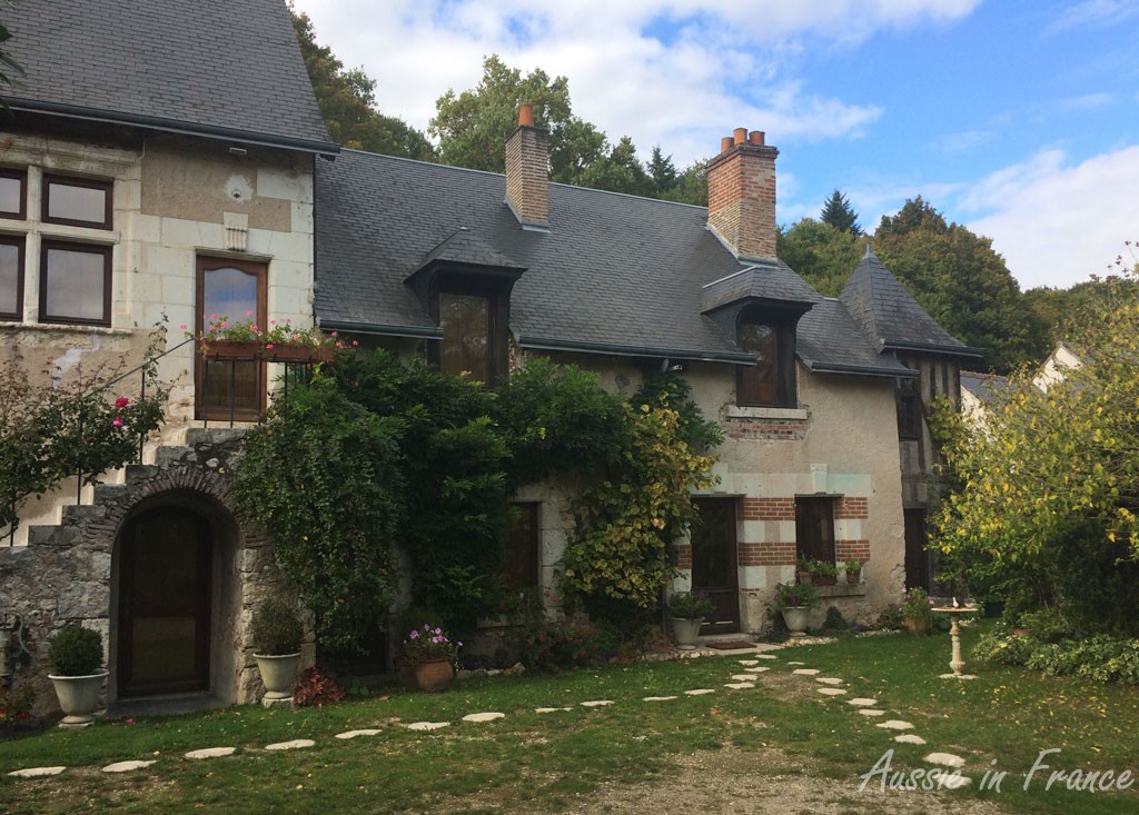The rose of Sharon tree is on the right. The nesting boxes are under the eaves above the wisteria in the middle of the photo