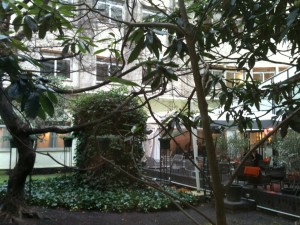 inside_garden