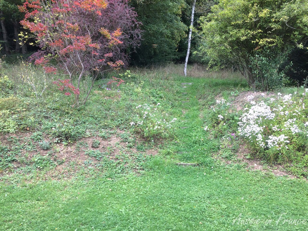 The view from the kitchen window in autumn