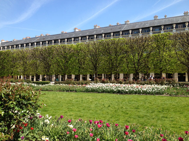 Linden trees in the Palais Royal gardens