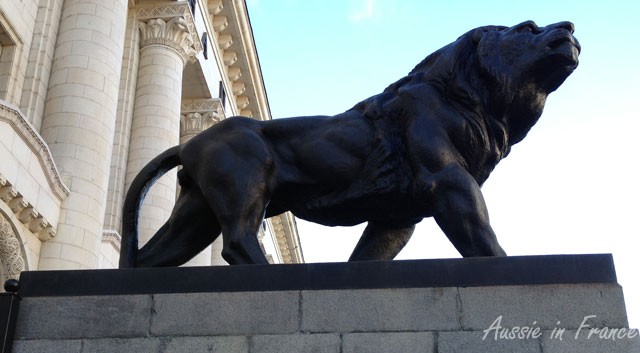 The lion with the wrong legs