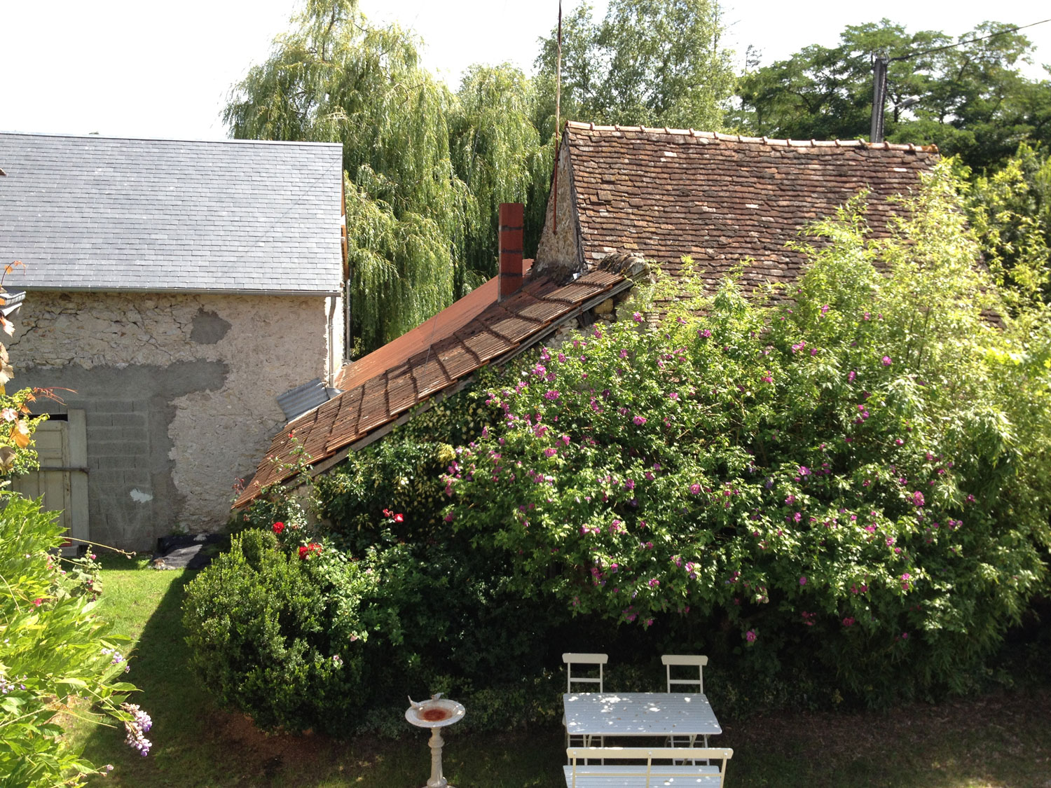 The roof of the little house seen from the garden