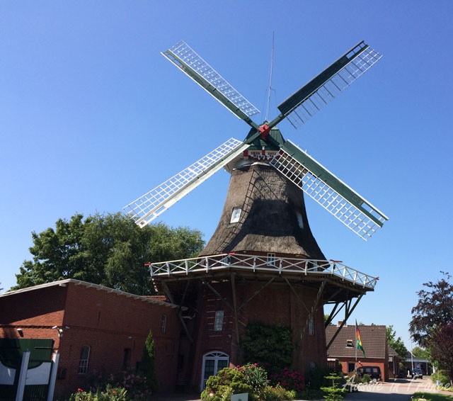 Tjücher windmill in Marienhafe with its thatched roof