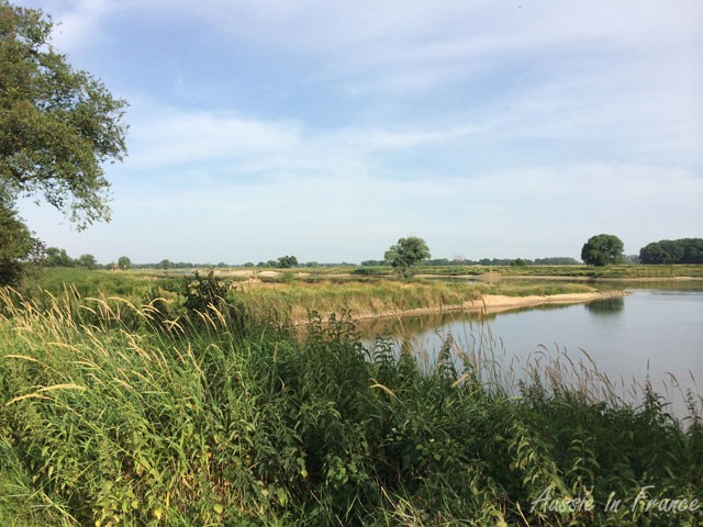 Marshland around the Elbe