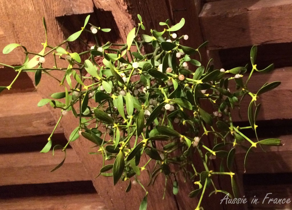 Our New Year mistletoe