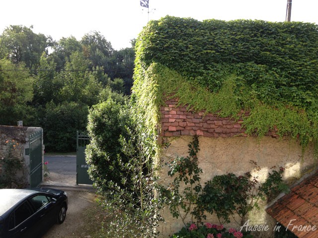 Morning view at Closerie Falaiseau
