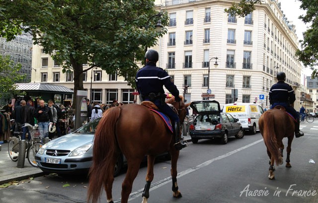 A little visit from the mounted police