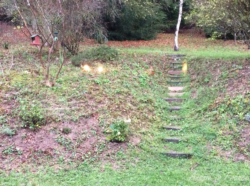 You can see the difference between this photo and the last one. Most of the leaves have gone.