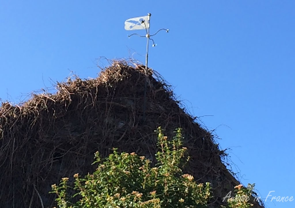 Our repaired weather vane