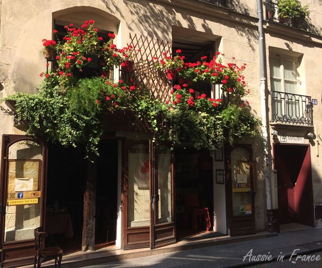 Totally irrelevant photo taken in Rue Tiquetonne. I wish my geraniums would grow like that!