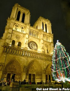 notre_dame_tree