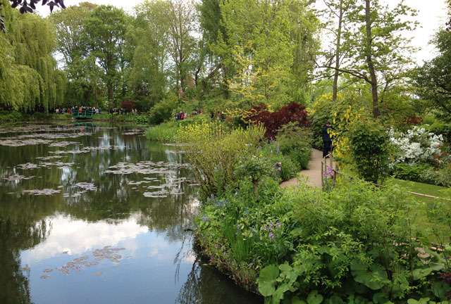 The nymphea pond