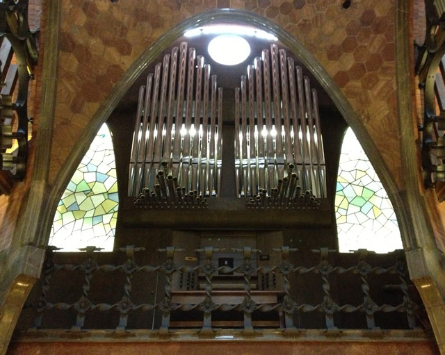 Guell's private organ