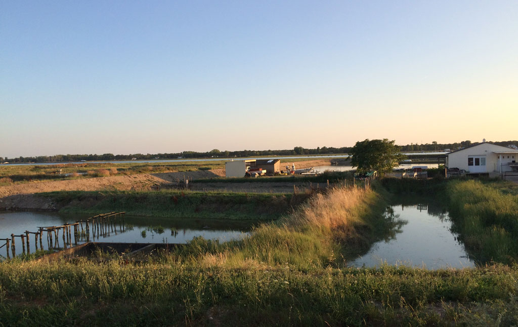 Overlooking the oyster beds at L'Aiguillon sur Mer