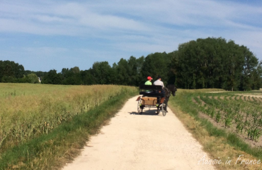 The horse and buggy, a little hazy, but I couldn't decently get any closer