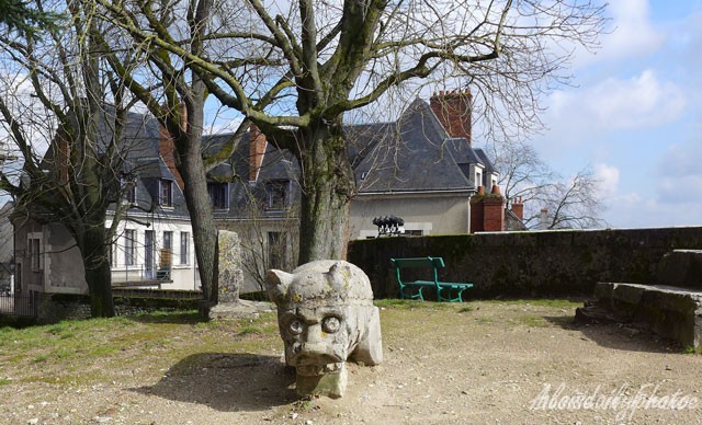 Mysterious animal near Tour de Foix