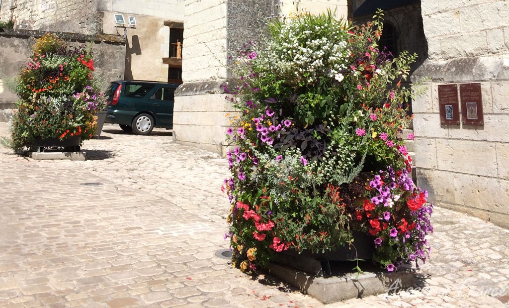 One of the many luxuriant flower pots in Saint Aignan