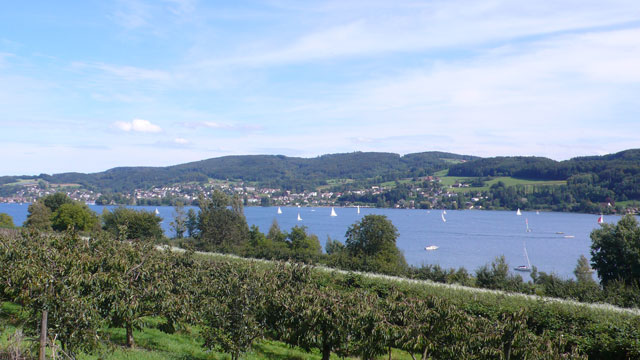 View of Lake Constance cycling down to Stein am Rein