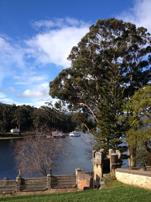 port_arthur_tree