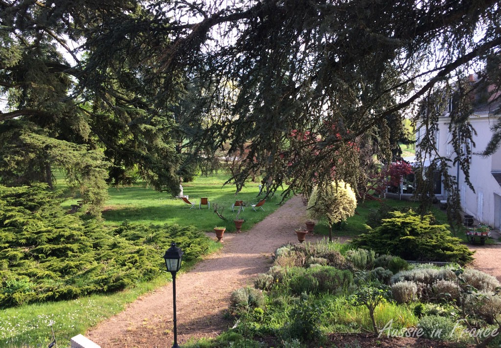 The view of the park from our bedroom