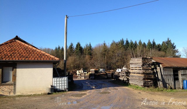 Arriving at the sawmill