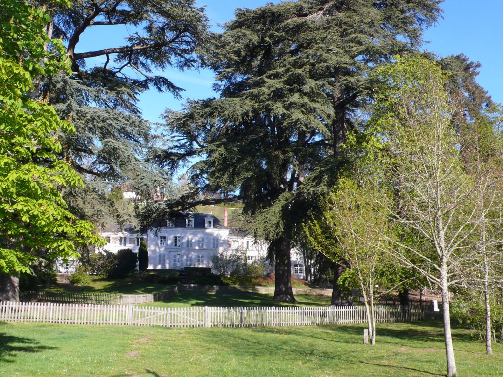 The school in our street which is now closed