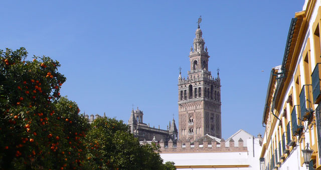 Seville during orange season